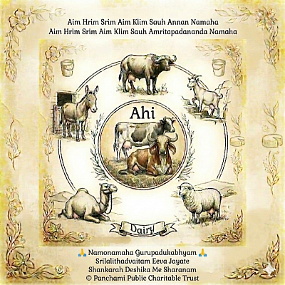 Ahi Dairy